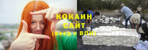 твердый Богданович