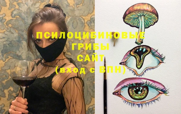 сатива Беломорск