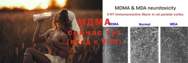 твердый Богданович