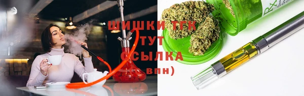 сатива Беломорск
