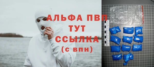 сатива Беломорск