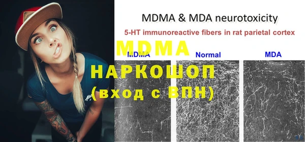 твердый Богданович