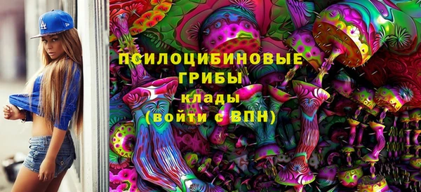 сатива Беломорск