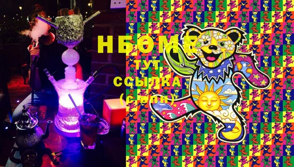 сатива Беломорск