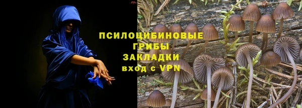 мескалин Белокуриха