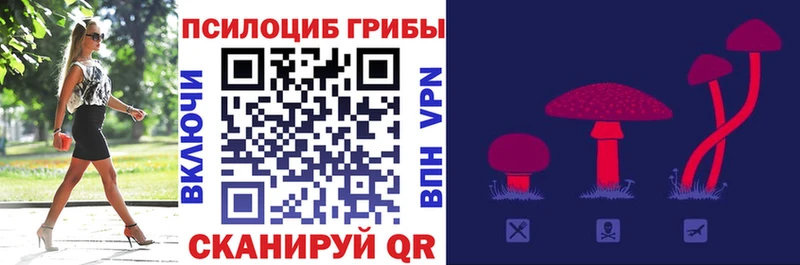 omg сайт  Вологда  Псилоцибиновые грибы GOLDEN TEACHER 